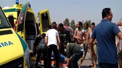 أسماء المصابين بحادث تصادم سيارتين في كفر الشيخ