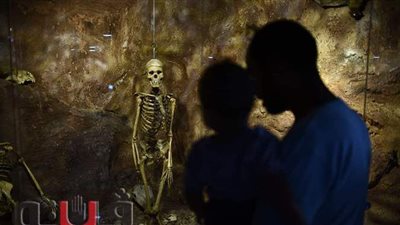 متحف حديقة الحيوانات بالجيزة..محنطات نادرة وهياكل تعود لمئات السنين | صور
