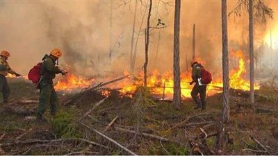 بسبب حرائق الغابات.. الدخان المسمم يغطي أكثر من 100 قرية روسية