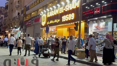 توافد المواطنين على وسط القاهرة ثالث أيام عيد الأضحى |فيديو