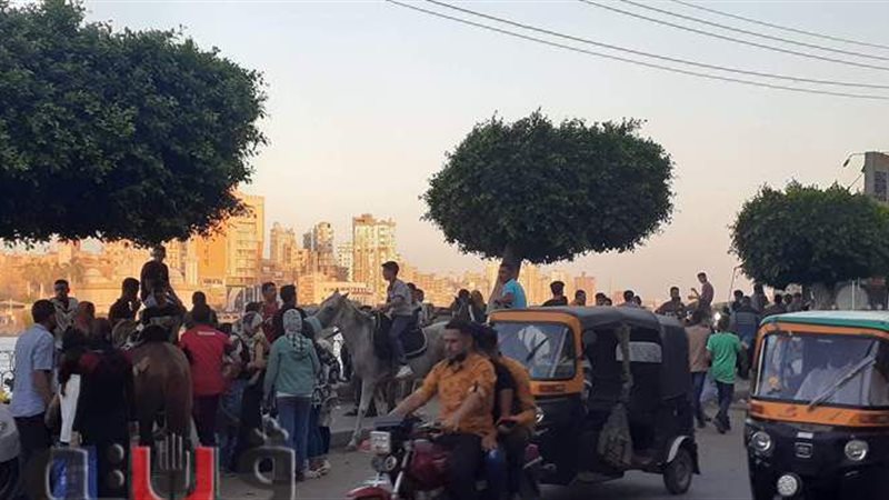 فيتو