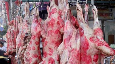 ذبح وتوزيع لحوم 40 عجلا بلديا على الأسر المستحقة باسيوط