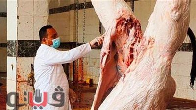 غراب: ذبح 2218 أضحية فى مجازر الشرقية بالمجان