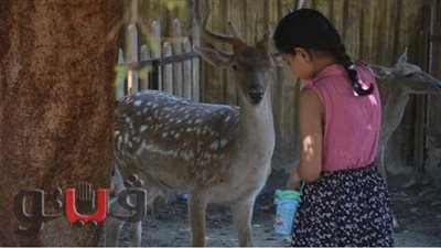 في عيد الأضحى.. اتفسح والعب مع الحيوانات بحديقة الطفل | فيديو وصور