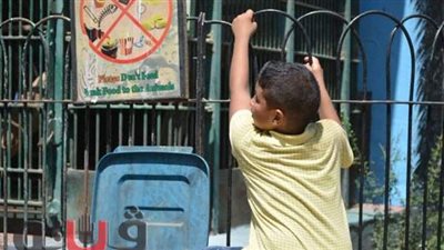 شقاوة الأطفال.. في حديقة الحيوان يتسلقون الأسوار وجبلاية القرود.. رابع أيام العيد | فيديو وصور