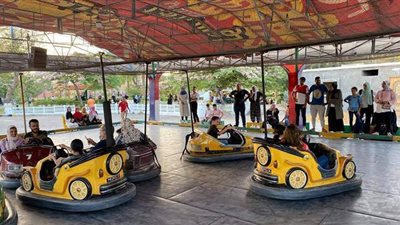 السيارات الكهربائية أبرز مظاهر الاحتفال بالعيد في الحديقة الدولية| فيديو وصور