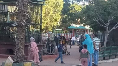 بث مباشر.. مربي تماسيح حديقة الحيوان بالزقازيق يكشف كواليس الحياة مع الخطر