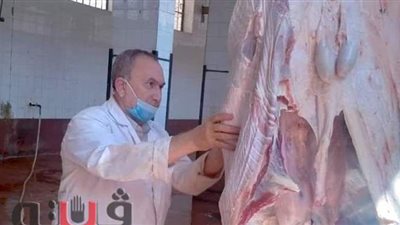 ذبح 1178 أضحية بالمجان في مجازر الغربية خلال عيد الأضحى