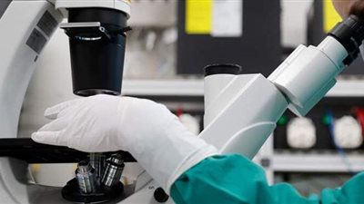 الصحة البريطانية تعلن اكتشاف سلالة جديدة من فيروس كورونا