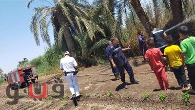 إخماد حريق بمنطقة «نخيل» في قرية أبوشهبة ببني سويف | صور