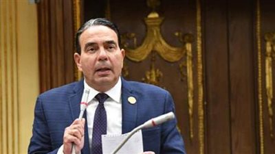 برلماني: عايزين السمك يكون الأكلة الشعبية في مصر