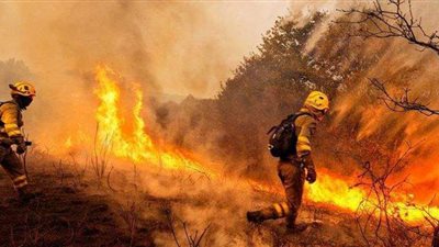 دمر 1100 هكتار.. حريق غابات يخرج عن السيطرة في إسبانيا