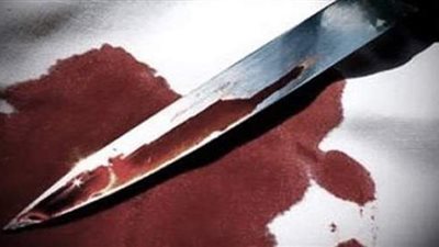 بسبب ألف جنيه.. حبس قاتل شقيقه بالإسماعيلية