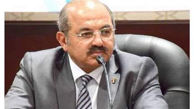 هشام حطب عن الانتقادات الموجهة لبعثة مصر بأولمبياد طوكيو: مستعدون للحساب