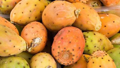 تعرفي على فوائد التين الشوكي للحامل