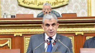 عبدالفضيل: منظومة التأمين على العمالة غير المنتظمة حماية اجتماعية جديدة