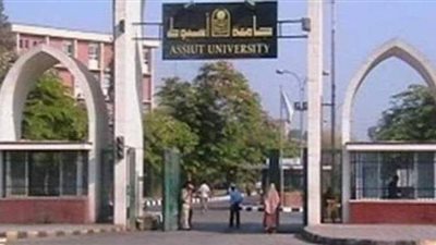 لجنة من رواد الفنون لتحكيم مشروعات تخرج أول دفعة من طلاب الفنون الجميلة بأسيوط