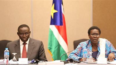 انطلاق الاجتماعات التحضيرية للجنة المشتركة الأولى بين مصر وجنوب السودان بالقاهرة