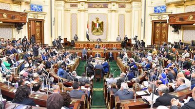 حبس وغرامة 10 ملايين جنيه.. عقوبات في انتظار الصيادين المخالفين بقانون حماية البحيرات