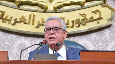 رئيس البرلمان: أنا صعيدي وأحب جميع المصريين.. وإذا خالفت الدور حاسبوني