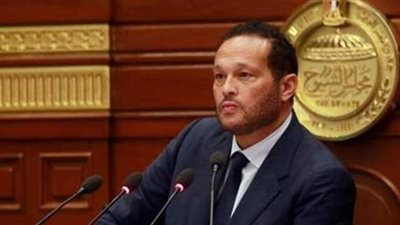 النائب محمد حلاوة : برنامج حياة كريمة أكبر مشروع لحقوق الإنسان والرئيس يضع الفئات الأكثر احتياجا نصب عينيه