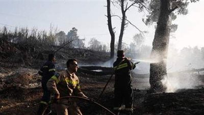 تدمير 12 منزلا وعدد من السيارات في حريق بغابة صنوبر قرب أثينا | فيديو