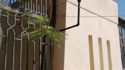 البيئة: انتهاء تركيب أول محطة رصد لحظية لمستويات الضوضاء بالفيوم