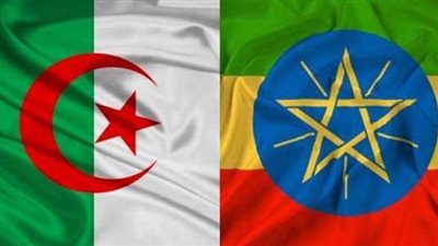 سد النهضة وتيجراي.. ملفات على طاولة لقاء إثيوبيا والجزائر