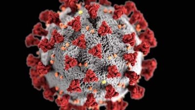 مؤشرات مقلقة.. تسونامى كورونا يضرب الدول العربية ويزحف نحو مصر