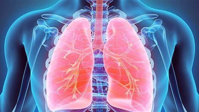 منها الطماطم والزنجبيل.. 10 أطعمة ومشروبات لها مفعول السحر لصحة الرئة