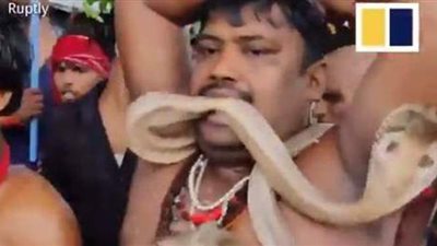 هنود يحتفلون بيوم الأفاعي المقدس | فيديو