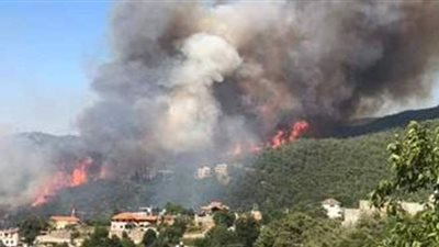 الجيش اللبناني: تجدد اندلاع الحرائق في الرويمة والبستان| فيديو