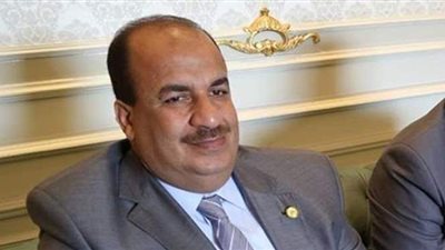 برلماني: زمن الإخوان انتهى بعد سقوطها في مصر وعلى التونسيين دعم قياداتهم السياسية