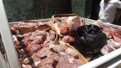 ضبط 2 طن لحوم فاسدة داخل ثلاجة لحفظ السلع الغذائية بالقاهرة