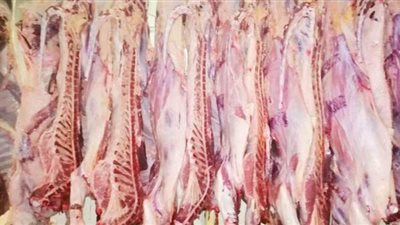 الأوقاف: توزيع 18 طن لحوم أضاحي غدًا السبت