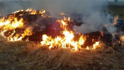 أضرار حرق قش الأرز.. ندوة بالقومي للمرأة في الشرقية