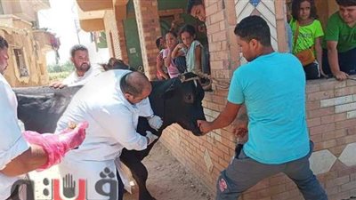 قافلة بيطرية لخدمة المربين بضواحي الإسماعيلية | صور