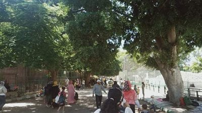 شاهد| أشهر قصة حب بين الدبة هند والدب كريم في حديقة الحيوانات بالإسكندرية