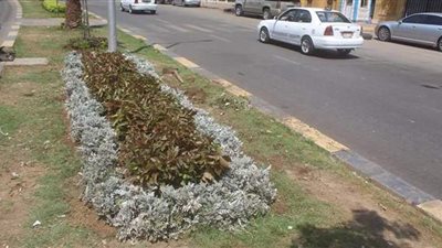 رفع كفاءة النظافة بأحياء الوراق والجيزة والدقي | صور