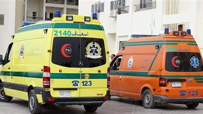 شاب يقطع يد صديقه في مشاجرة بينهما في المحلة الكبرى