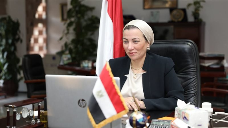 الدكتورة ياسمين فؤاد