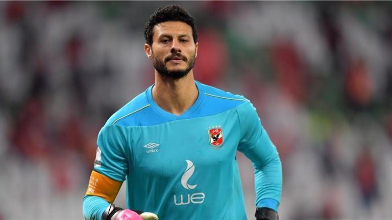 محمد الشناوي 