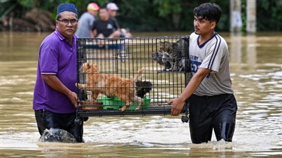 بسبب الفيضانات.. أكبر مدن إفريقيا مهددة بالغرق