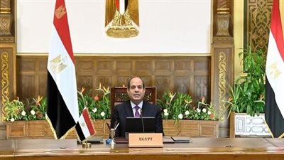 وزير خارجية التشيك: بحثت مع الرئيس السيسي عددا من الملفات المشتركة