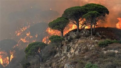 وسط موجة حر.. اندلاع 800 حريق بإيطاليا خلال 24 ساعة