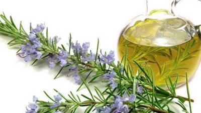 ما هي فوائد الروزماري للشعر؟.. اكتشفيها