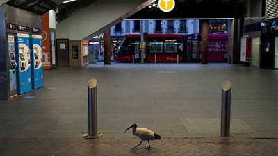 انتشار الجيش في الشوارع.. لحظة عودة 