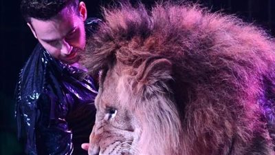 مدرب الأسود والنمور محمد اليمانى يختتم برنامج سيرك جمال الحلو العالمى بمطروح