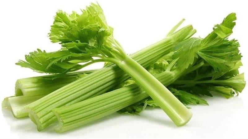 الكرفس
