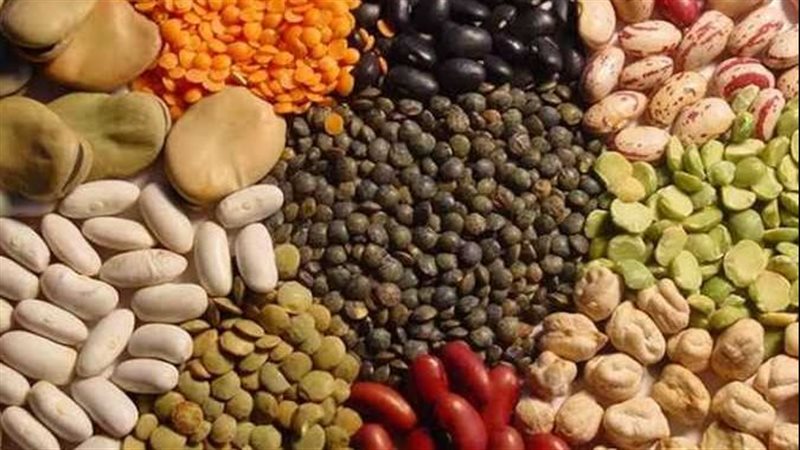 أسعار البقوليات في